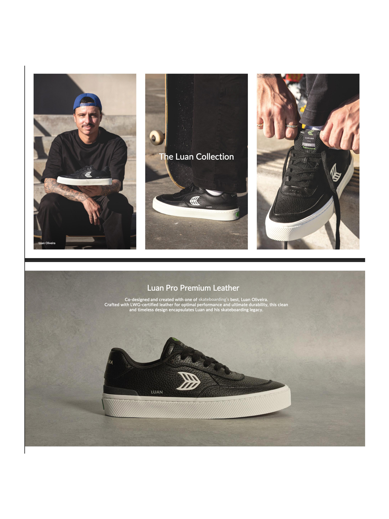 Wholesale catalogue